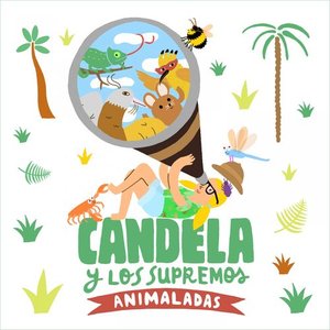 “Animaladas”的封面