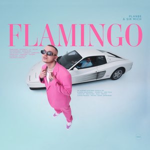 Bild für 'Flamingo'