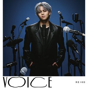 Image for 'VOICE'