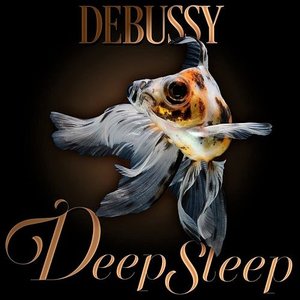 Bild för 'Debussy Deep Sleep'