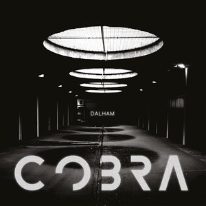 Image for 'Cobra'
