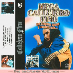 Image for 'MEGA CALLEJERO FINO'