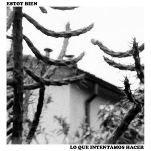 Image for 'Lo Que Intentamos Hacer'