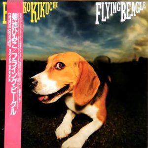 'Flying Beagle' için resim