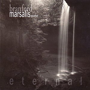Image for 'Eternal'