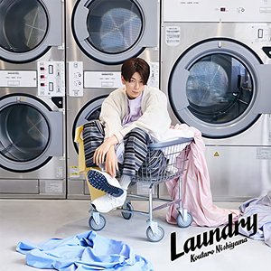 Image for 'Laundry'