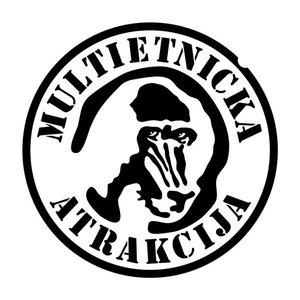 Image for 'Multietnička Atrakcija'