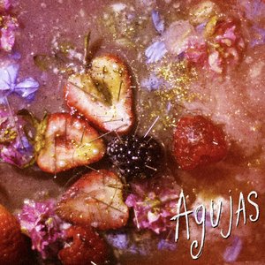 Image for 'Agujas'