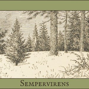 Image for 'Sempervirens'