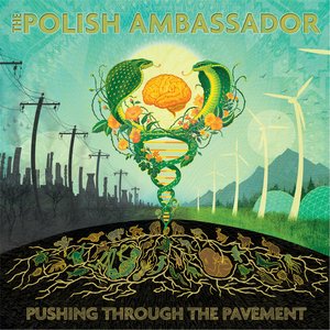 Image for 'Pushing Through the Pavement'