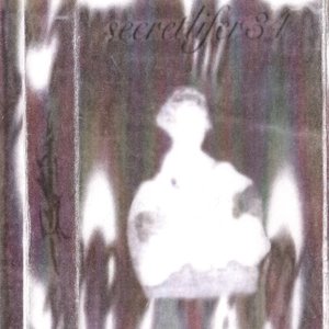 “secretlife”的封面