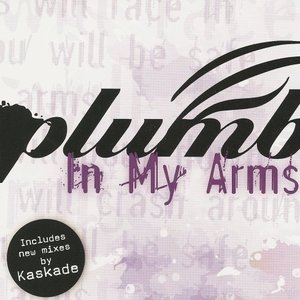 Immagine per 'In My Arms (Kaskade Remixes)'