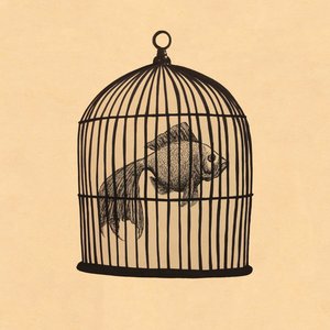 'Fish in a Birdcage' için resim