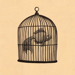 “Fish in a Birdcage”的封面