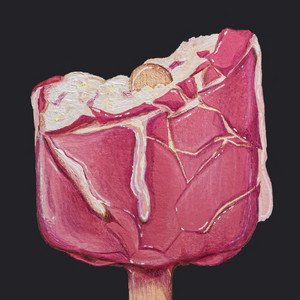 Image for 'Um Gelado Antes Do Fim Do Mundo'