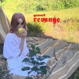 “Revenge”的封面