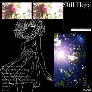 'Still Here'の画像
