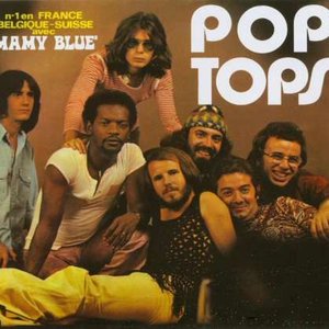 Image for 'Pop Tops'