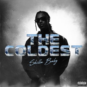 Image for 'THE COLDEST'