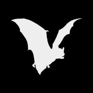 Image for 'White Bat Audio'