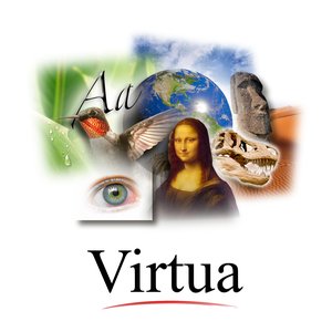Image pour 'virtua'