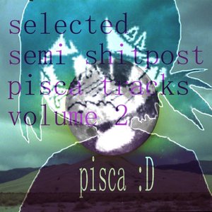 'selected semi shitpost pisca tracks volume 2'の画像