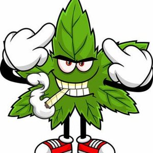 Изображение для 'IWANNABEAhippyANDIWANNAGETstoned'