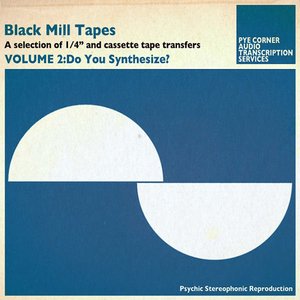 Imagen de 'Black Mill Tapes Volume 2: Do You Synthesize?'