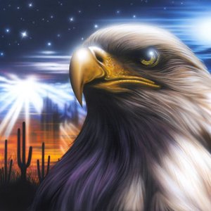 Image for 'Desert Eagle'