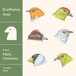 “Ecomúsica | Aves”的封面