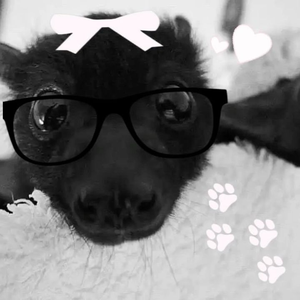 rockstarcharles