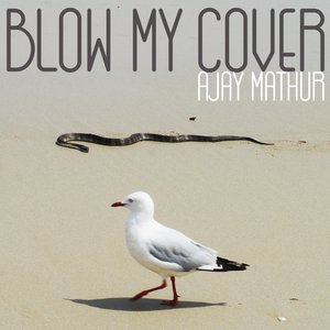 Image for 'Blow My Cover'