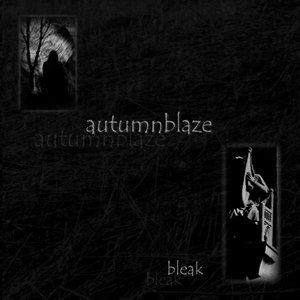 Image for 'Bleak'