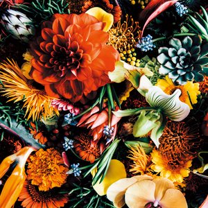 Image for 'Variety'