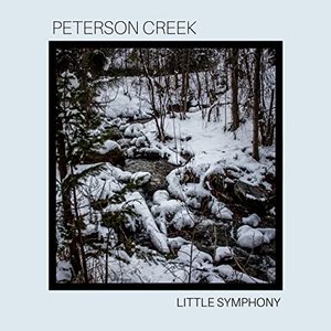 Immagine per 'Peterson Creek'