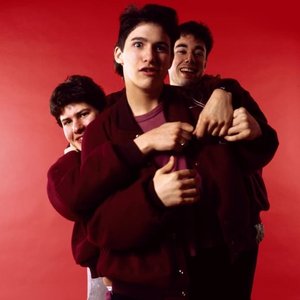 Image for 'Beastie Boys'