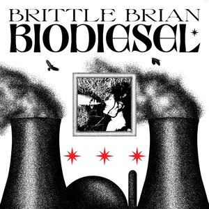 “Biodiesel”的封面