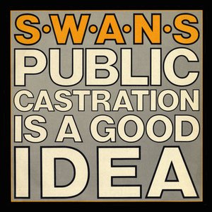 'Public Castration is a Good Idea (live)' için resim