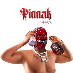 Image for 'Pinnak'