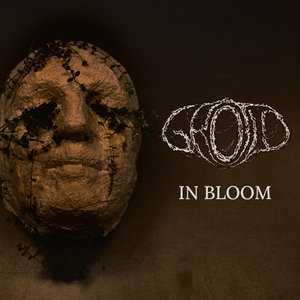 Image for 'In Bloom'