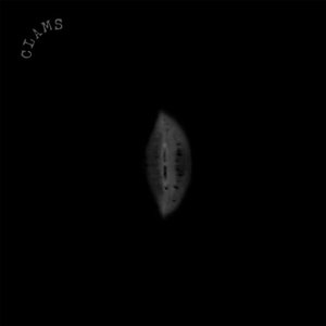 Imagen de 'CLAMS'