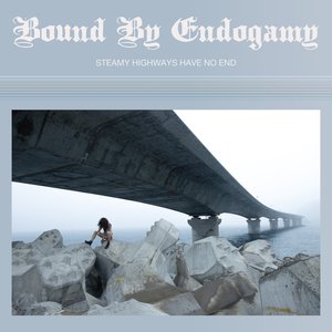 Image for 'Steamy Highways Have No End'