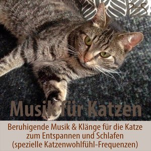 Bild för 'Musik für Katzen - Beruhigende Musik & Klänge für die Katze zum Entspannen und Schlafen (spezielle Katzenwohlfühl-Frequenzen)'