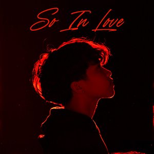 “So In Love”的封面