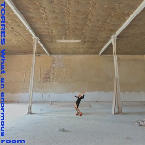 Image pour 'What an enormous room'