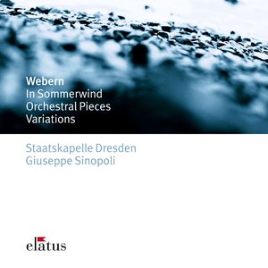 Image for 'Webern : Im Sommerwind, Orchestral Works & Variations (Elatus)'