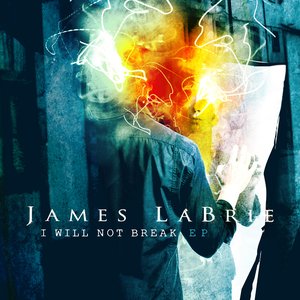 Image for 'I Will Not Break'