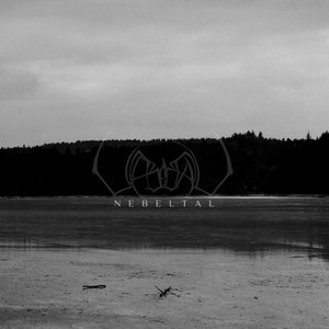 “Nebeltal”的封面