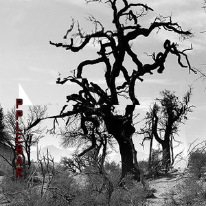 Image for 'Pignition'