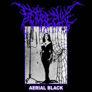 Image for 'Aerial Black'